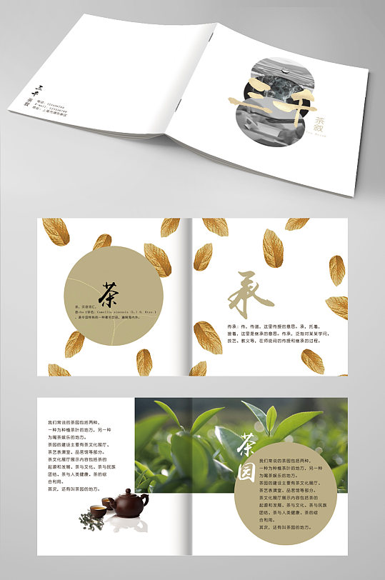中国风茶叶画册白茶