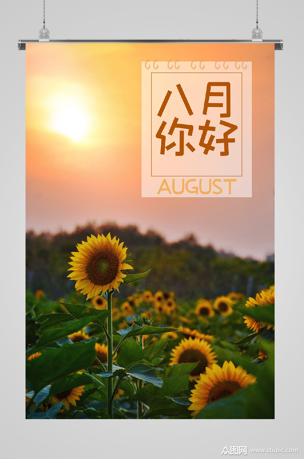 八月你好问候海报向日葵