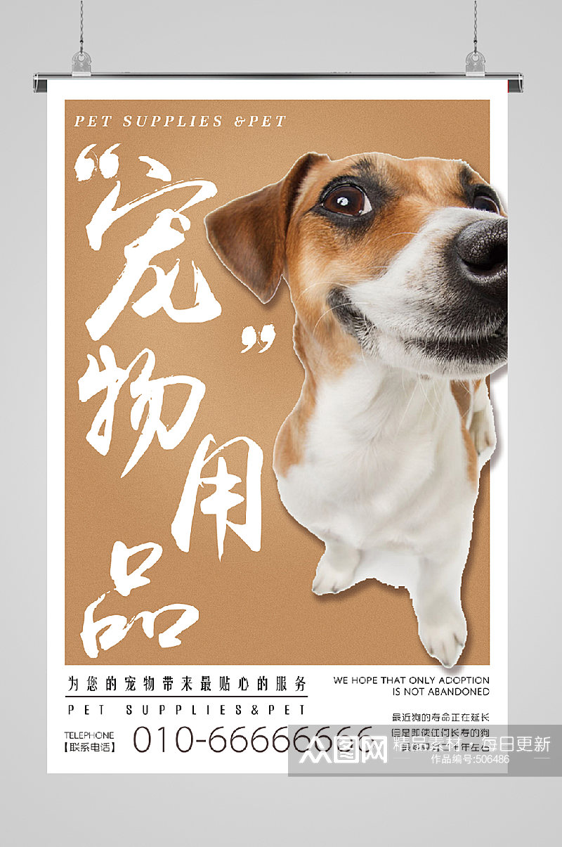 宠物护理宣传海报小狗素材