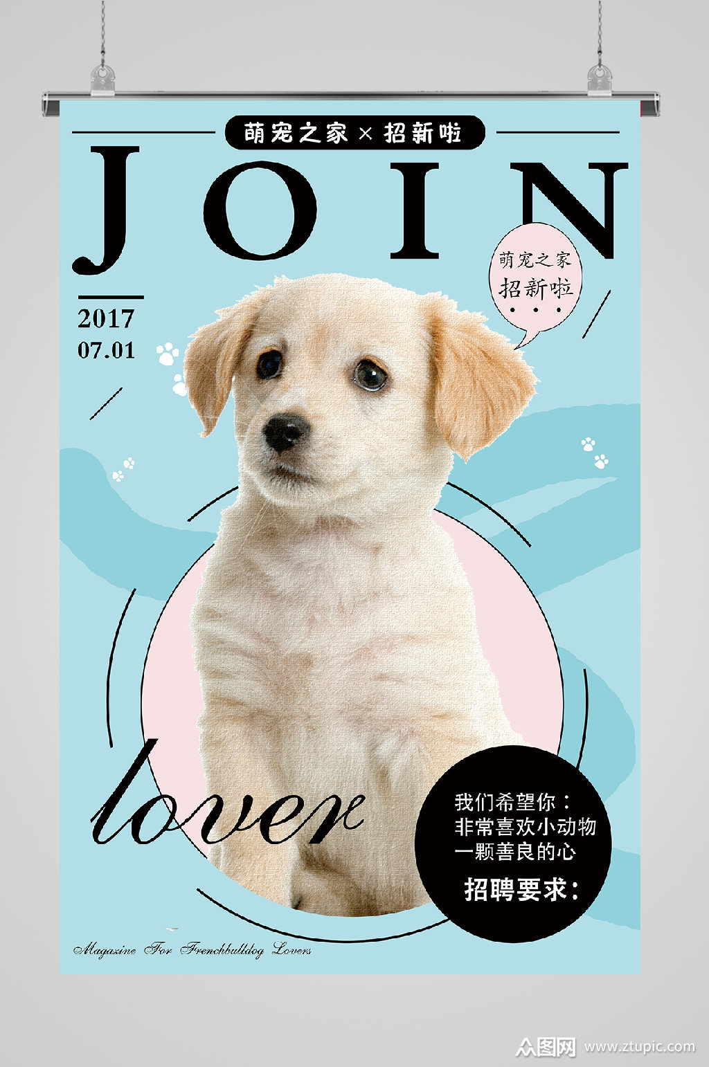 宠物护理宣传海报参加