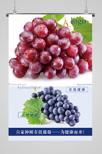 有机蔬菜绿色生活海报葡萄