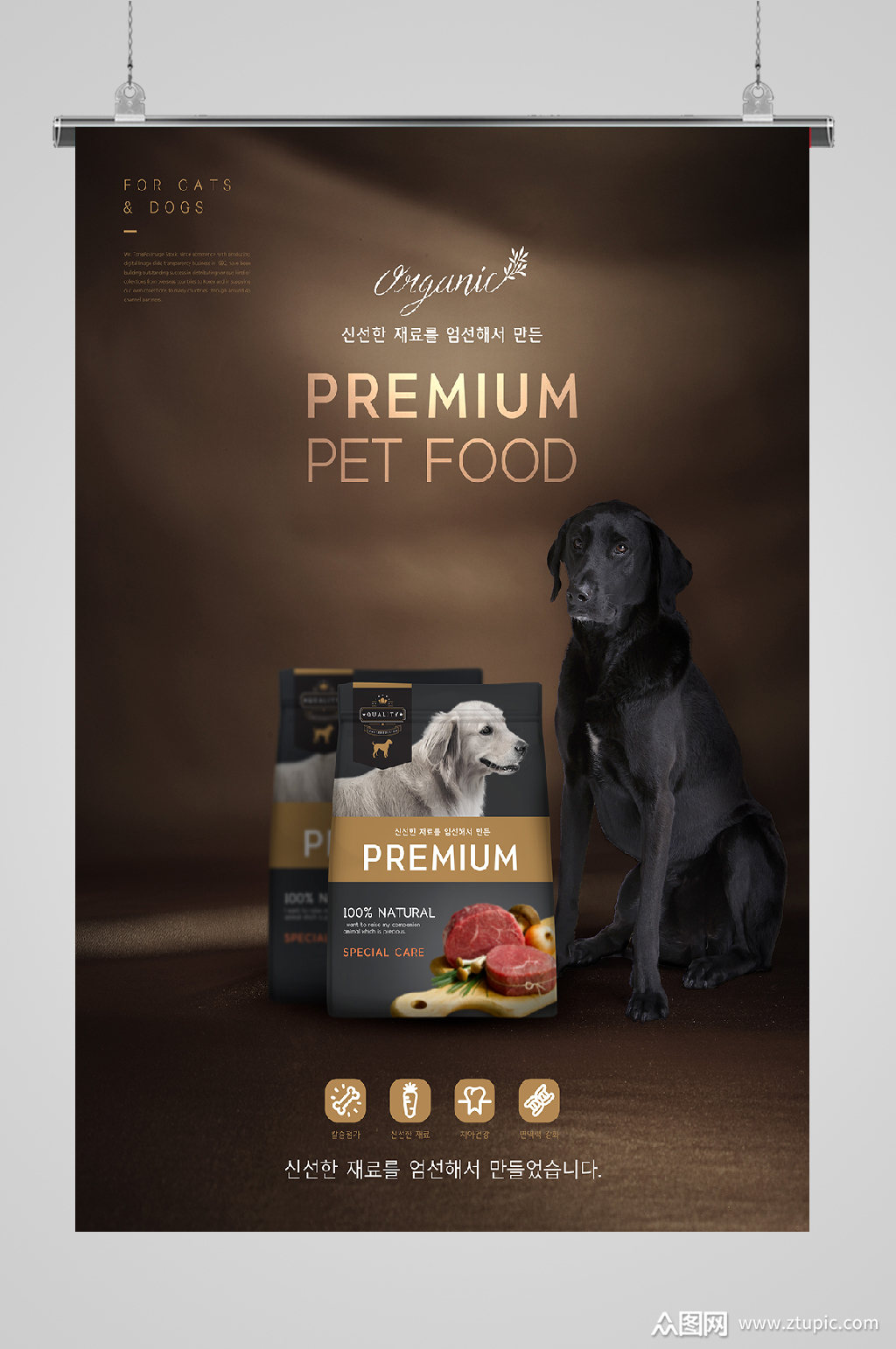 狗狗狗粮水果蔬菜创意海报咖色