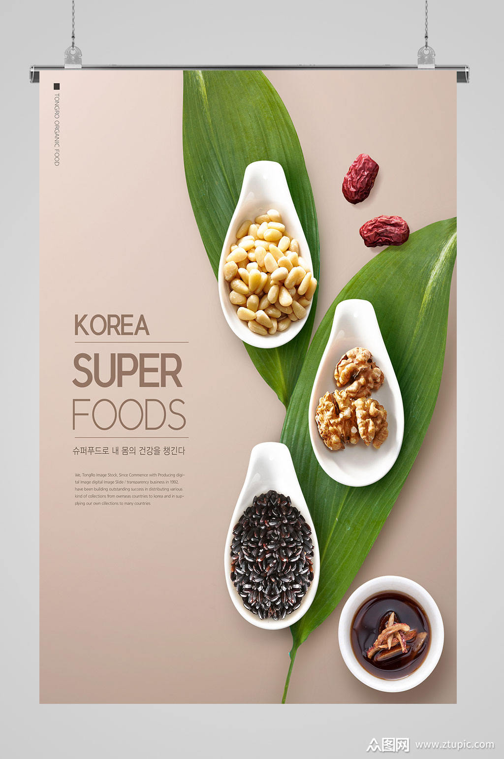 高档餐饮绿色饮食美食海报模板下载-编号741109-众图网