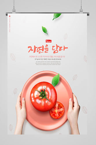 高档餐饮西红柿美食海报