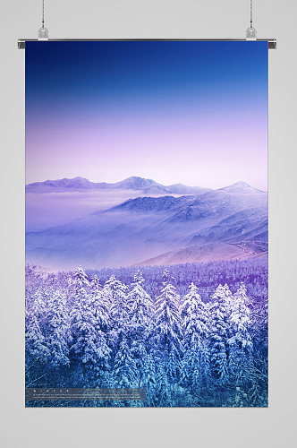 冬日美景紫丁香宣传海报