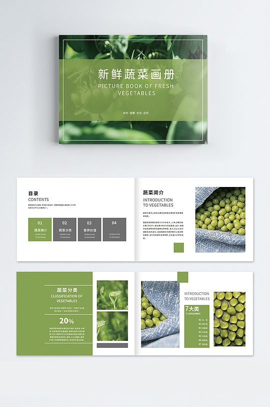 摄绿色新鲜蔬菜画册农产品画册整套