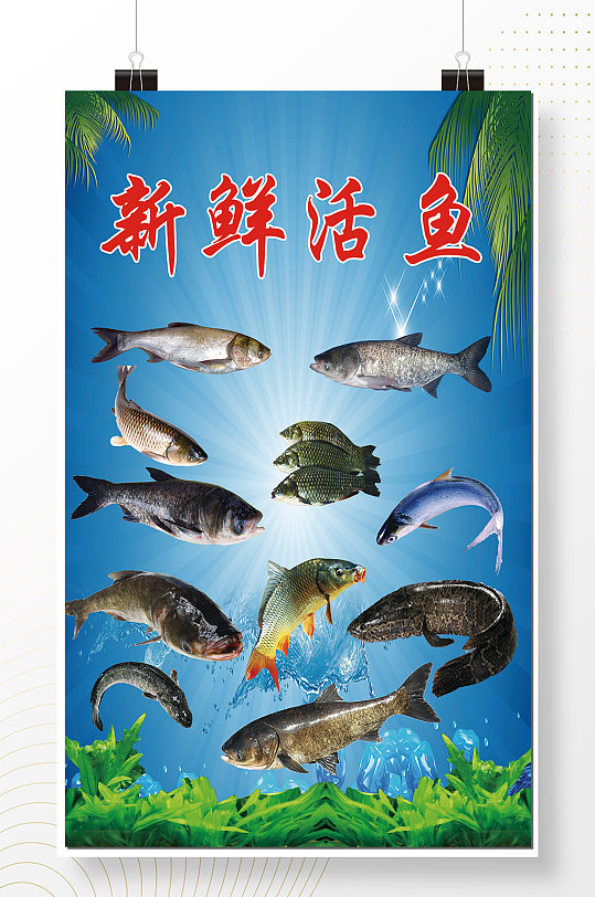 新鲜活鱼淡水鱼黑鱼乌鳢花鲢白鲢鱼鲢鳙鲫鱼-众图网