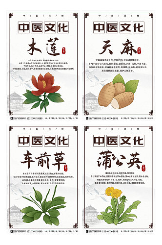 中国风中医中药药材宣传系列海报