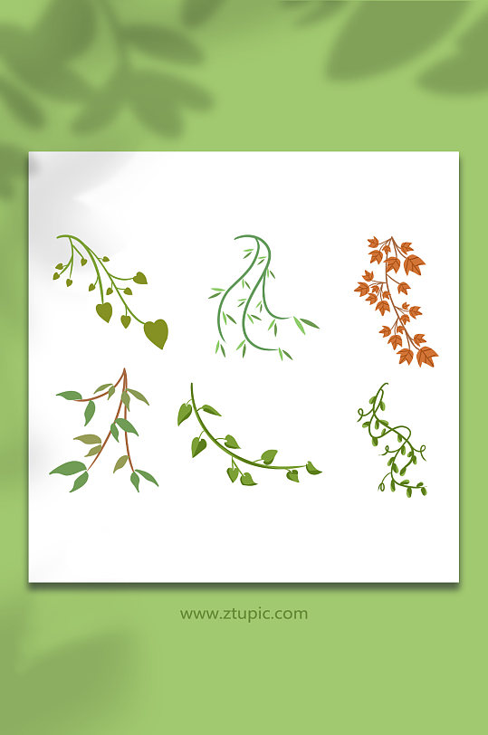 扁平卡通藤条青藤植物树叶春季插画元素