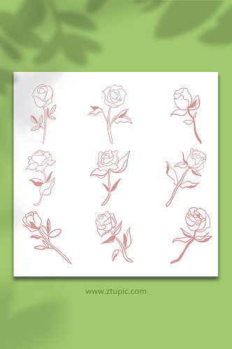 简笔简约线性玫瑰花卉插画元素