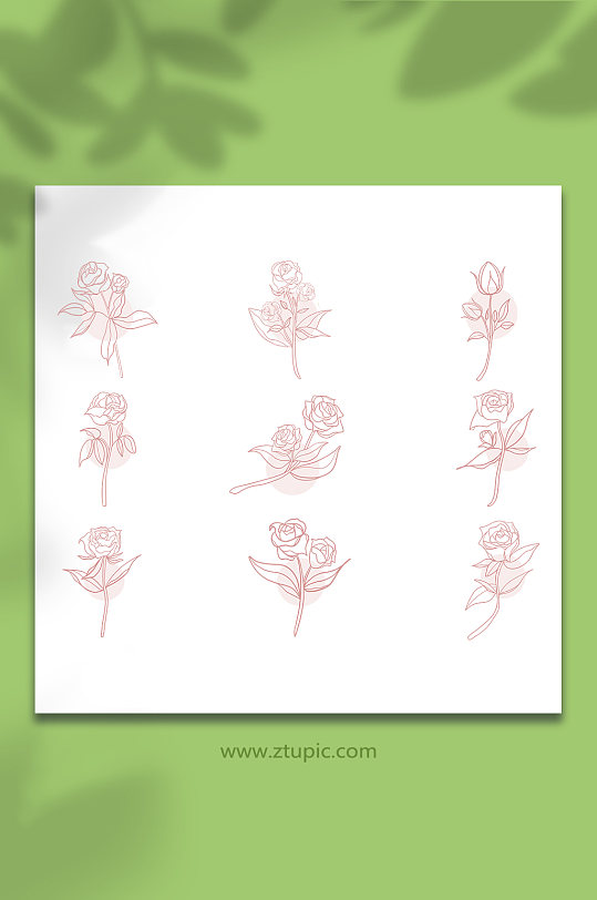 花朵玫瑰花线性玫瑰花卉插画元素