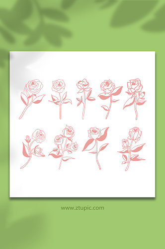 简笔线性玫瑰花卉插画元素