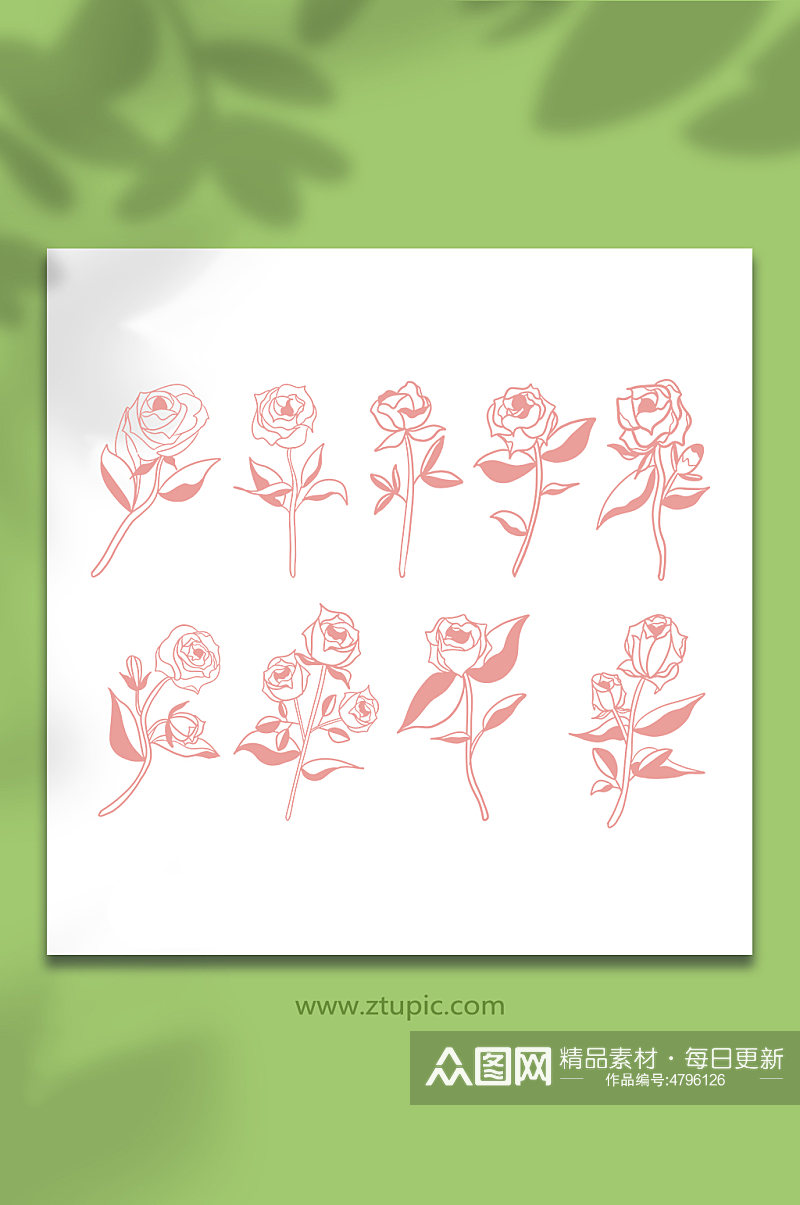 简笔线性玫瑰花卉插画元素素材