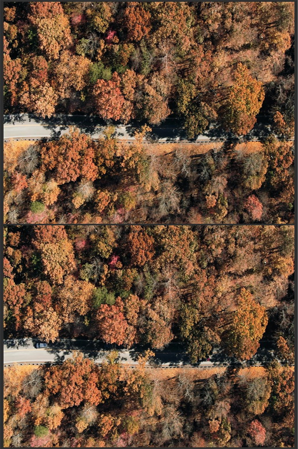 航拍航拍秋天森林里公路素材