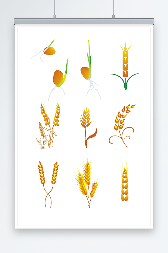 手绘矢量农作物稻谷小麦插画元素
