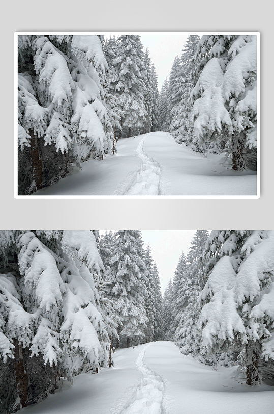 冬日公路雪景图片