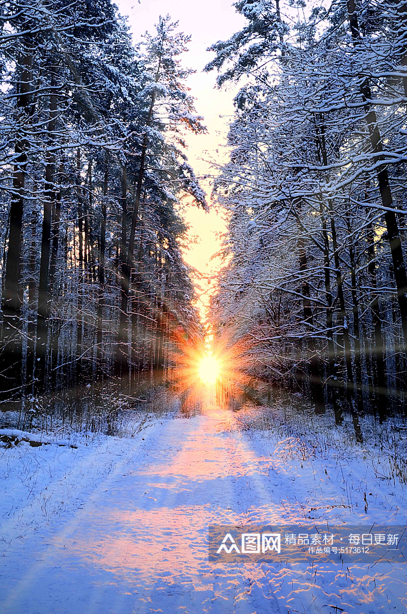 冬日公路雪景图片素材