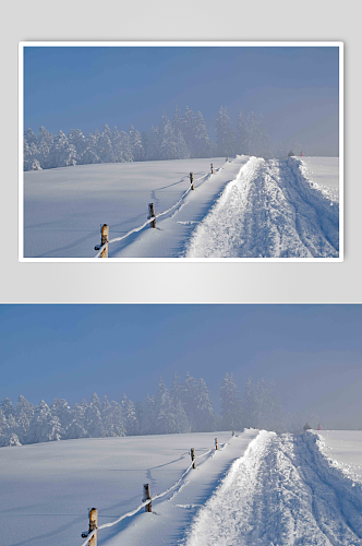 冬季美景冬日雪景图片