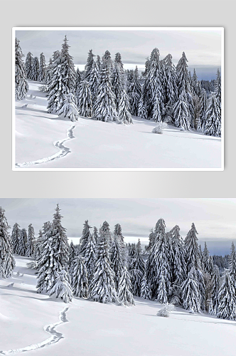 冬季美景冬日雪景图片