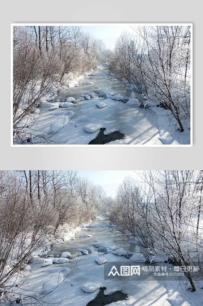 冬日野外树木景色雪景图片素材