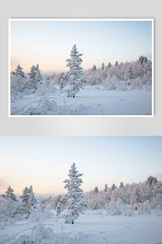 冬日白雪覆盖景观雪景图片