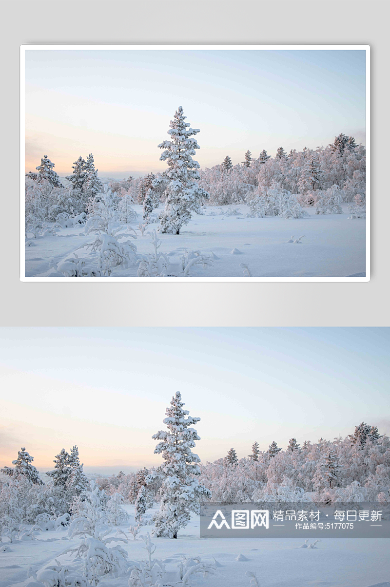 冬日白雪覆盖景观雪景图片素材