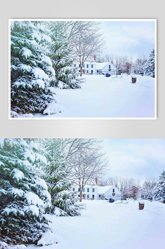 冬日白雪覆盖景观雪景图片
