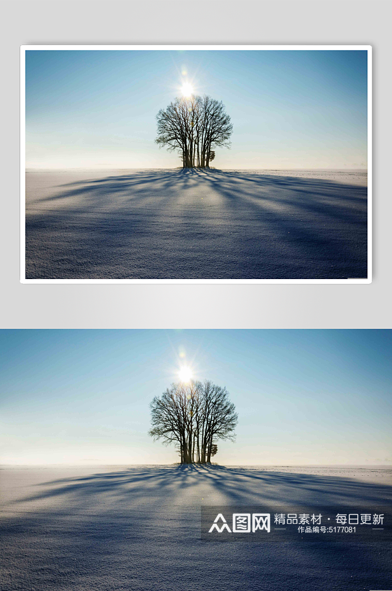 冬日白雪覆盖景观雪景图片素材