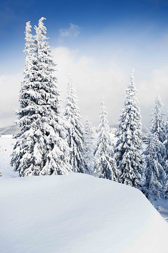 冬日美丽自然景观雪景图片