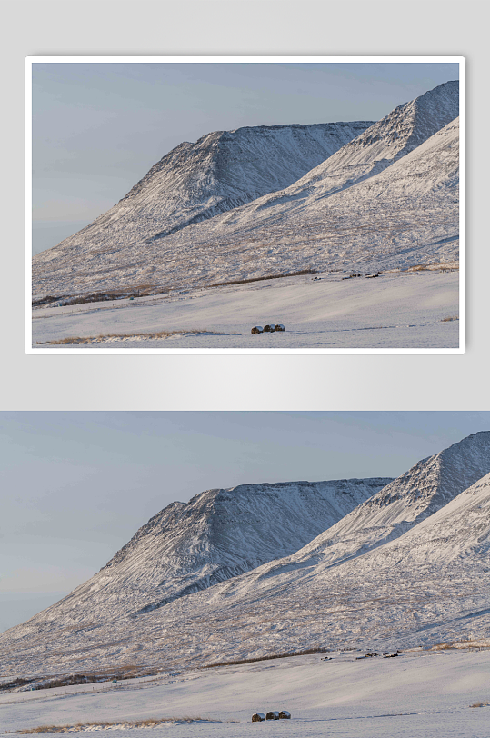 冬日白雪皑皑雪景图片