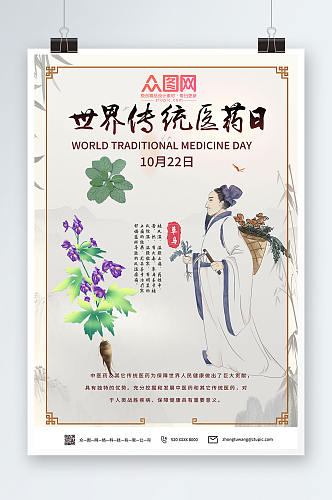 中国风世界传统医药日海报