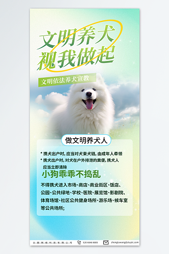 青色文明养犬宠物海报