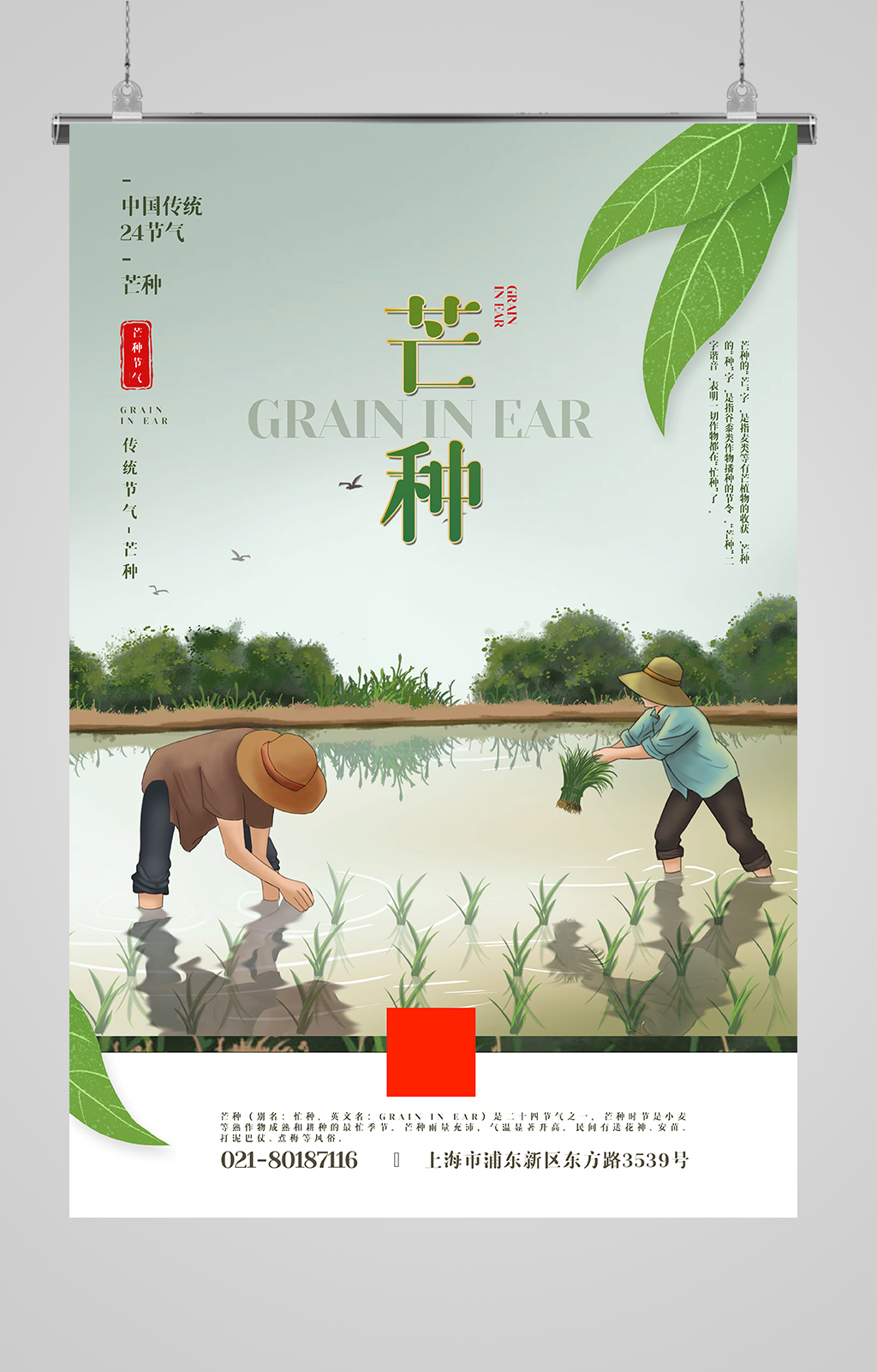 清新芒种传统节日插画海报素材