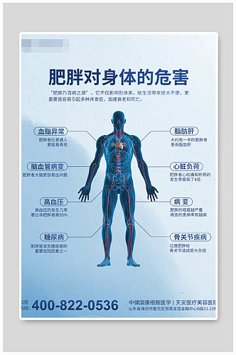 减肥行业分析墙贴