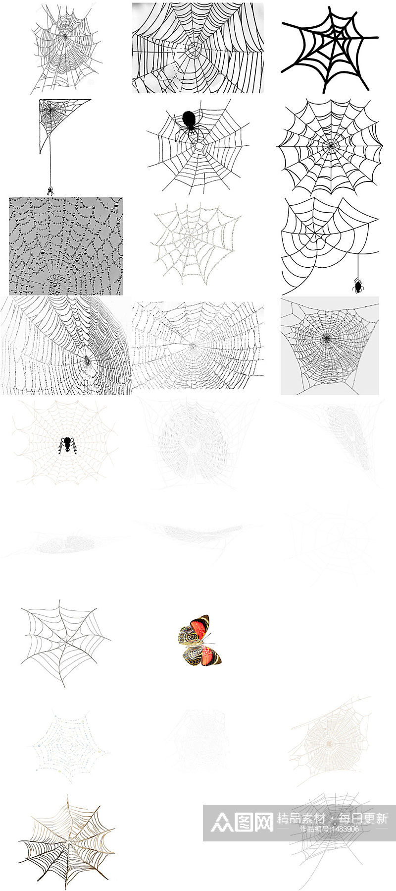 蜘蛛网免抠PNG透明图片素材素材