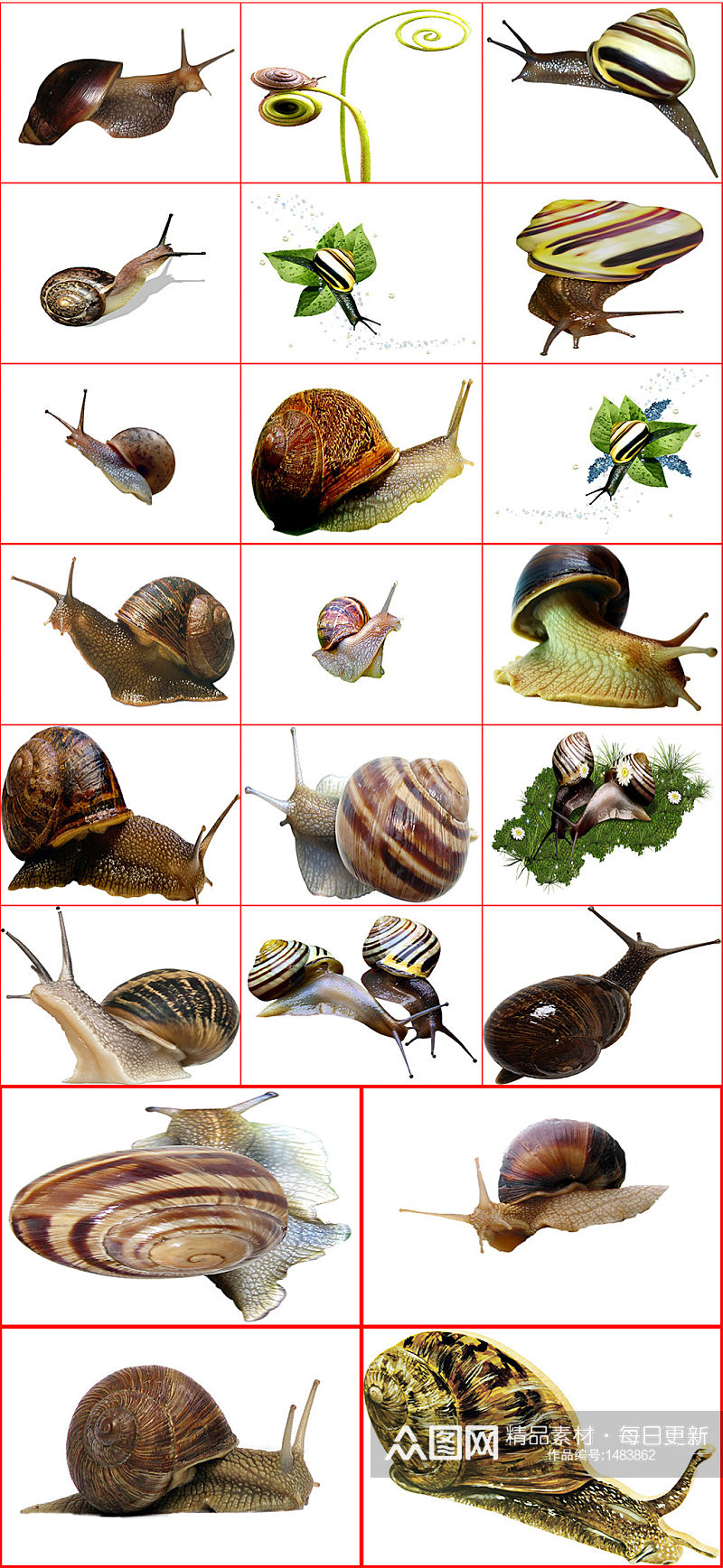 蜗牛素材免抠PNG透明图片素材素材