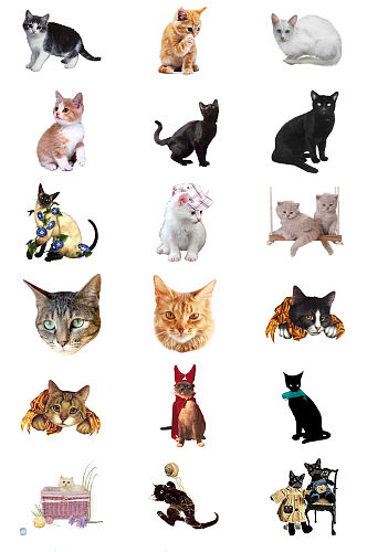 可爱小猫咪免抠PNG透明图片素材