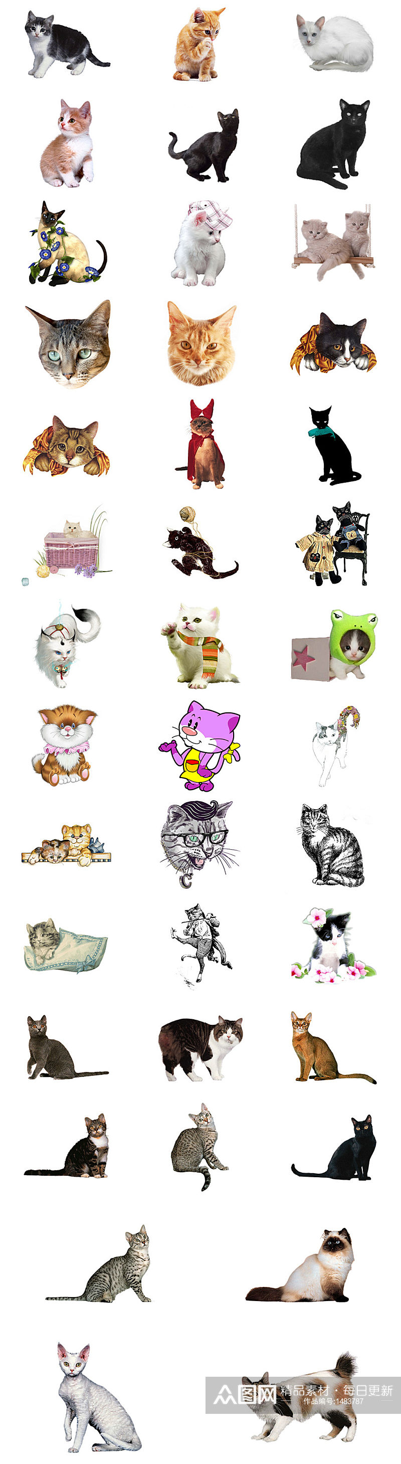 可爱小猫咪免抠PNG透明图片素材素材