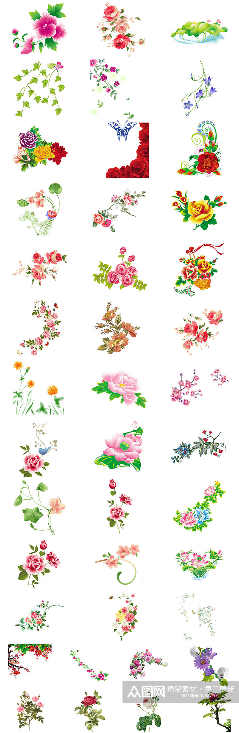 精美花朵免抠图PNG素材图片素材