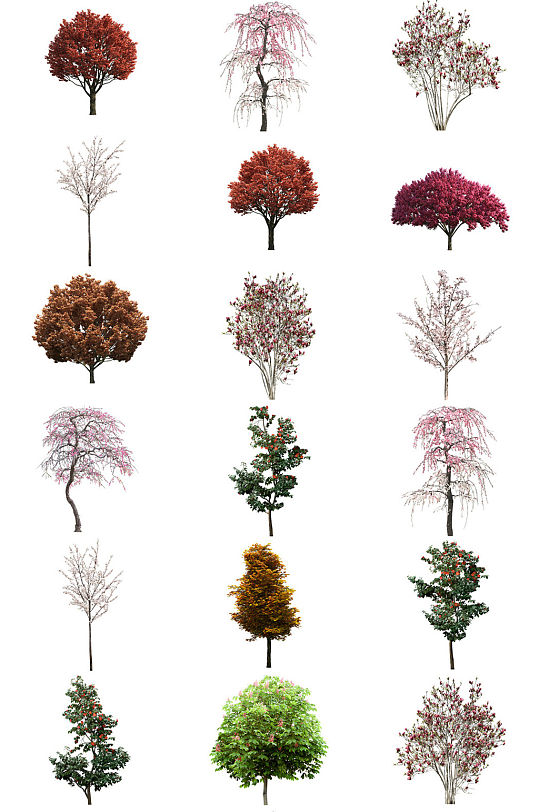 各种花树素材免抠透明花木素材