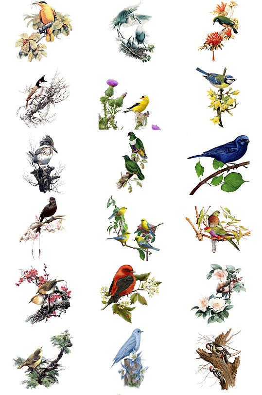 多种枝头鸟儿免抠PNG透明图片素材
