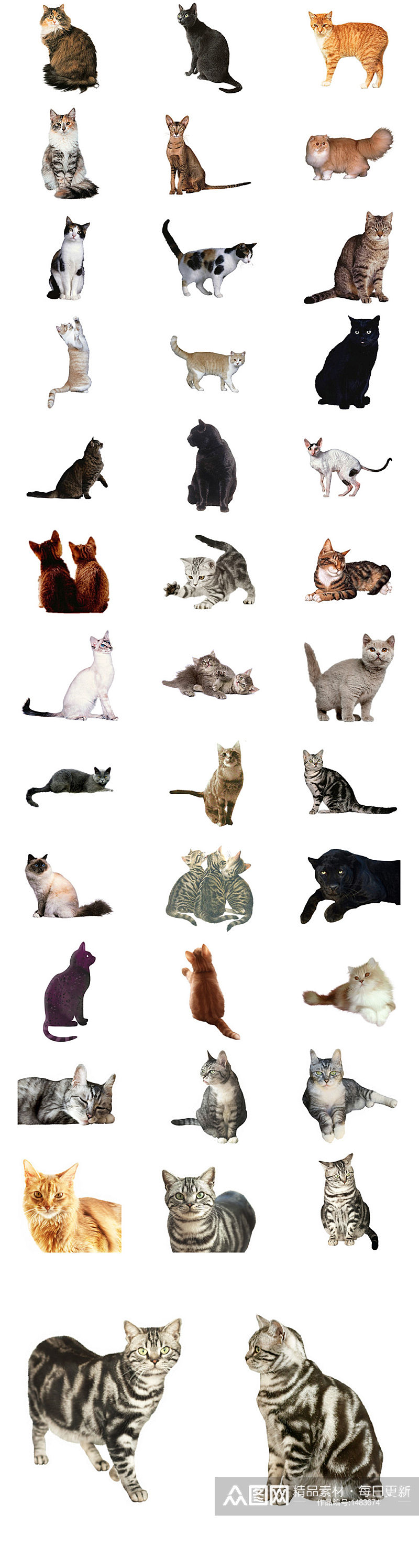 多款可爱小猫咪免抠PNG透明图片素材