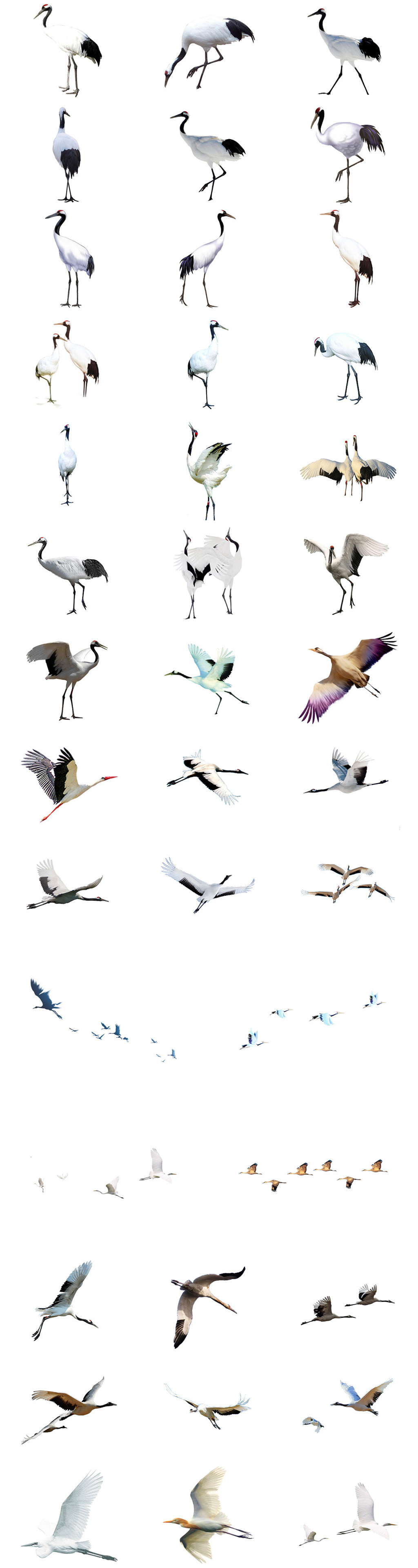 松鶴長春 水墨画 松鹤长春图素材图片下载-素材编号08324376-素材