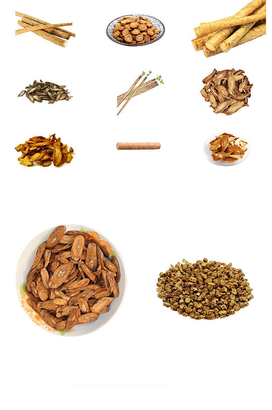 中药材牛蒡免抠图透明素材中草药元素