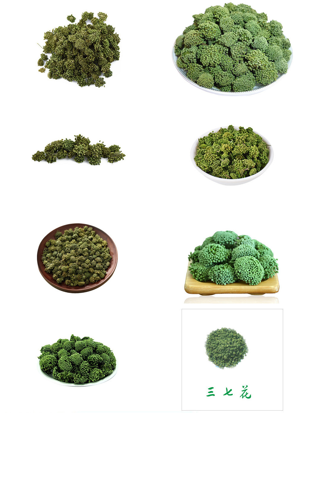 三七花素材_三七花模板_三七花设计图片免费下载-众图网