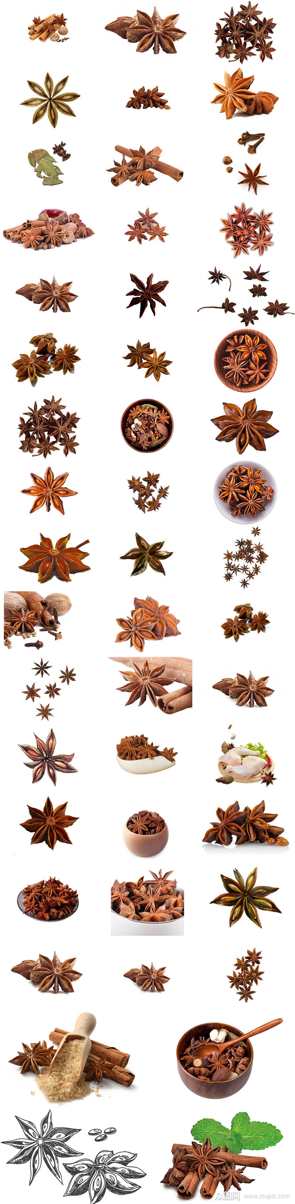 八角配料中药材八角免抠图透明素材