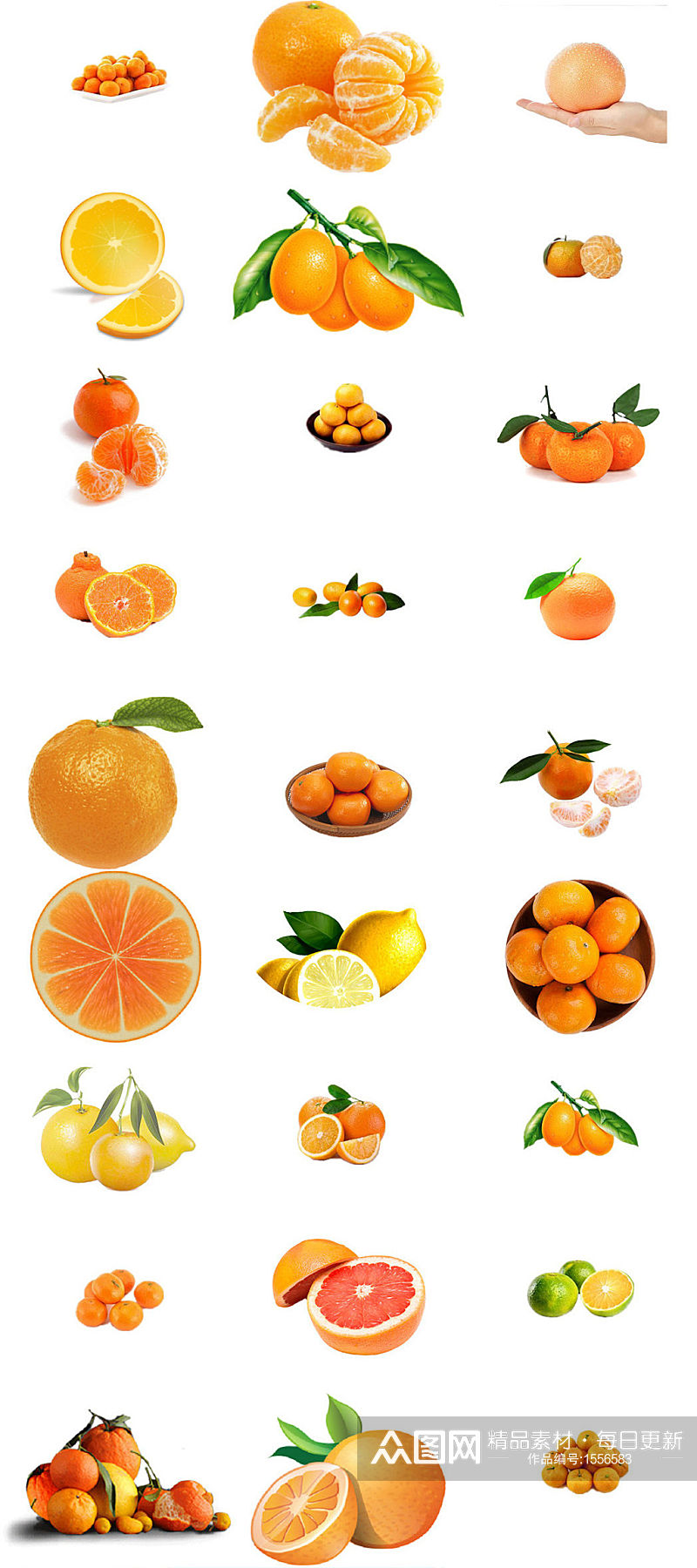 水果柑橘免抠png设计素材素材