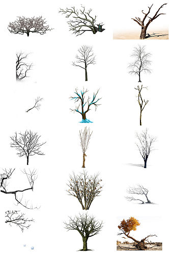 枯树树枝树干免抠png海报设计素材集