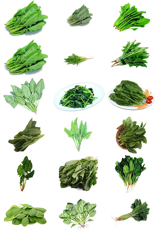 新鲜蔬菜菠菜免抠背景透明素材
