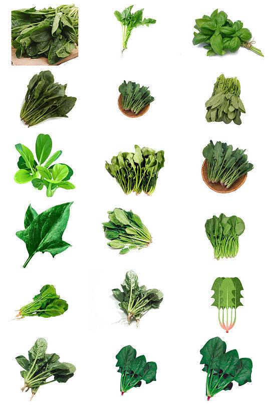 新鲜蔬菜菠菜海报设计透明素材
